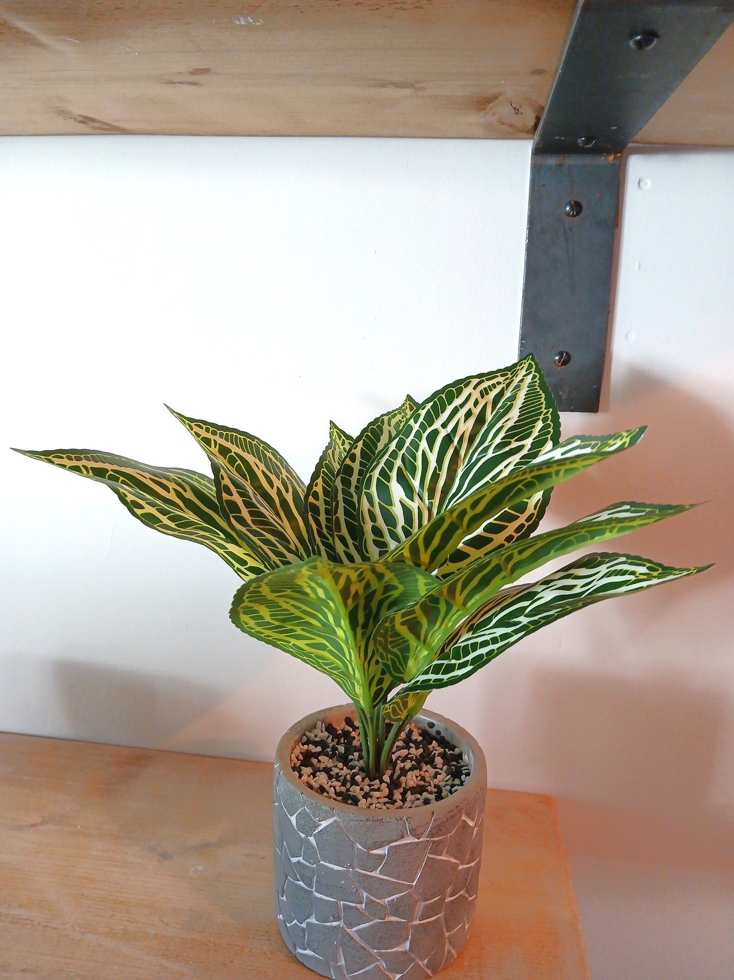 Printed Zebra Print Leaf Bunch - With Or Without Pot