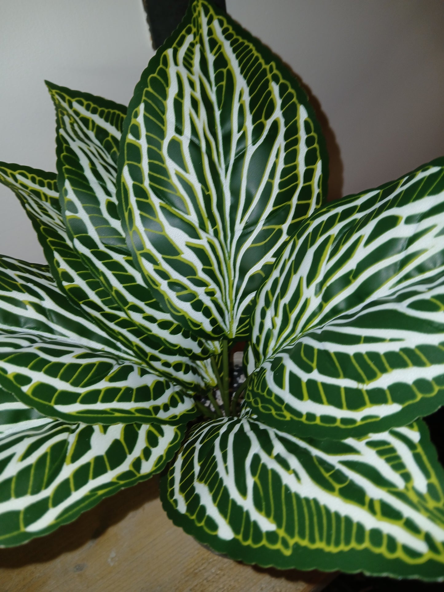 Printed Zebra Print Leaf Bunch - With Or Without Pot