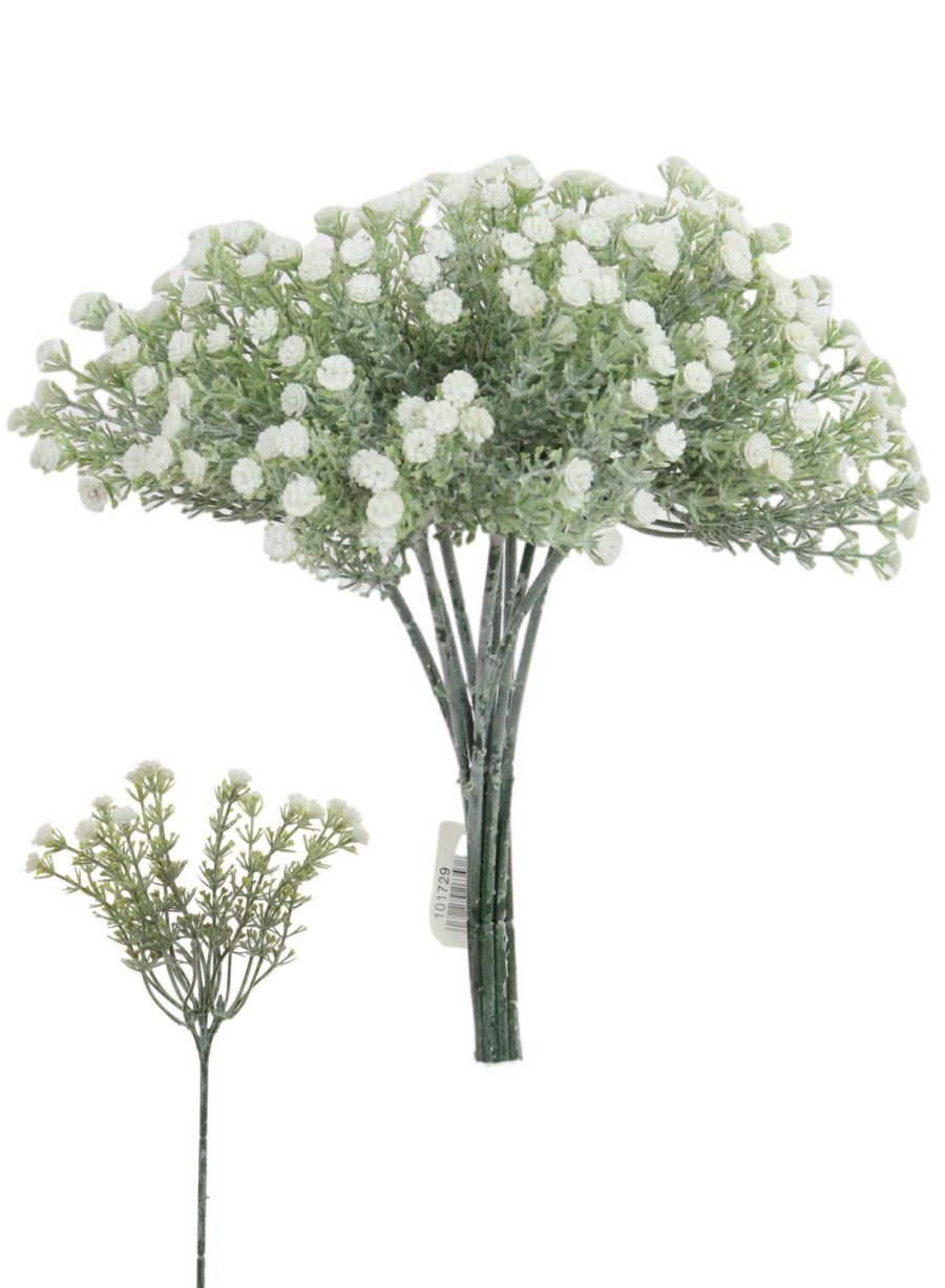 Wild Gypsophila - Ivory