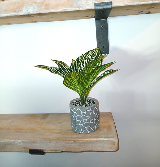 Printed Zebra Print Leaf Bunch - With Or Without Pot