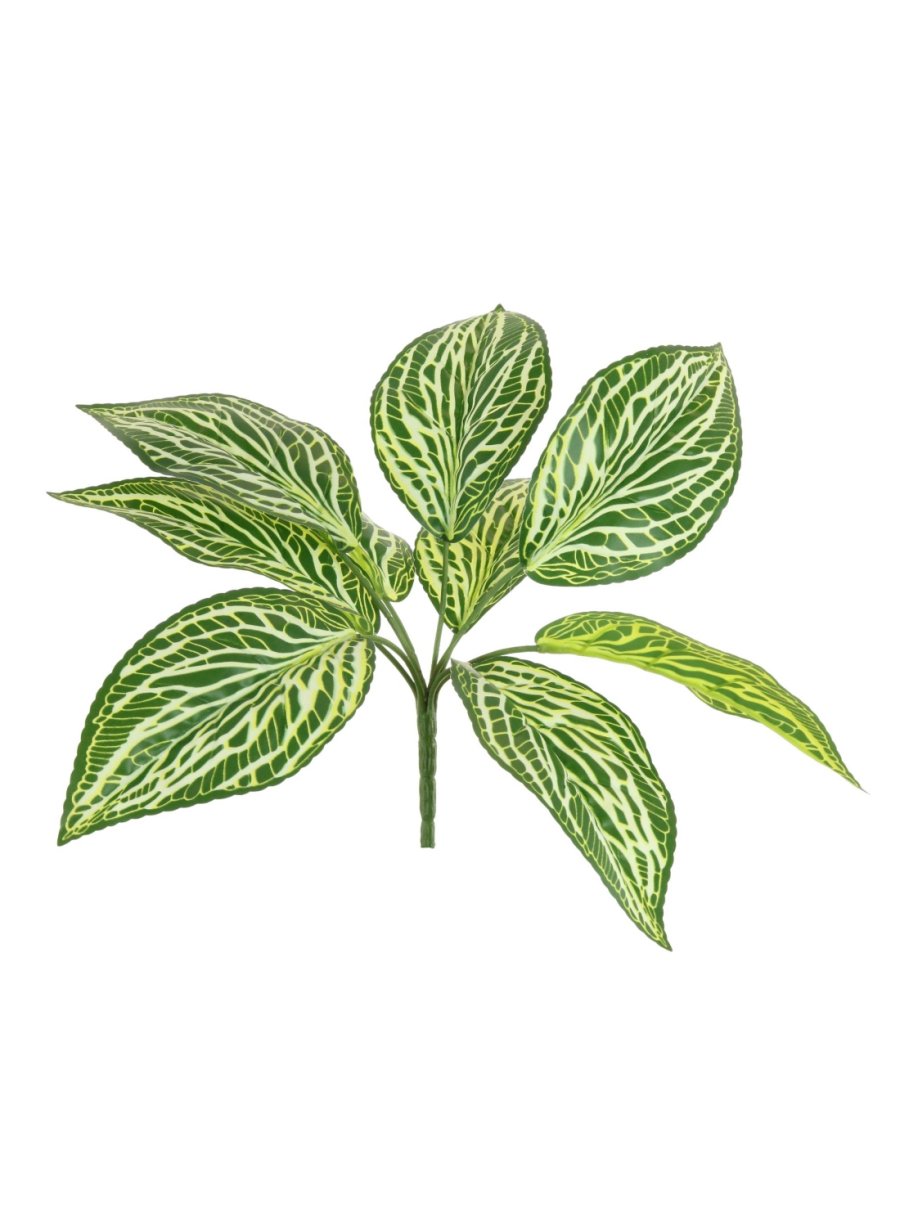 Printed Zebra Print Leaf Bunch - With Or Without Pot