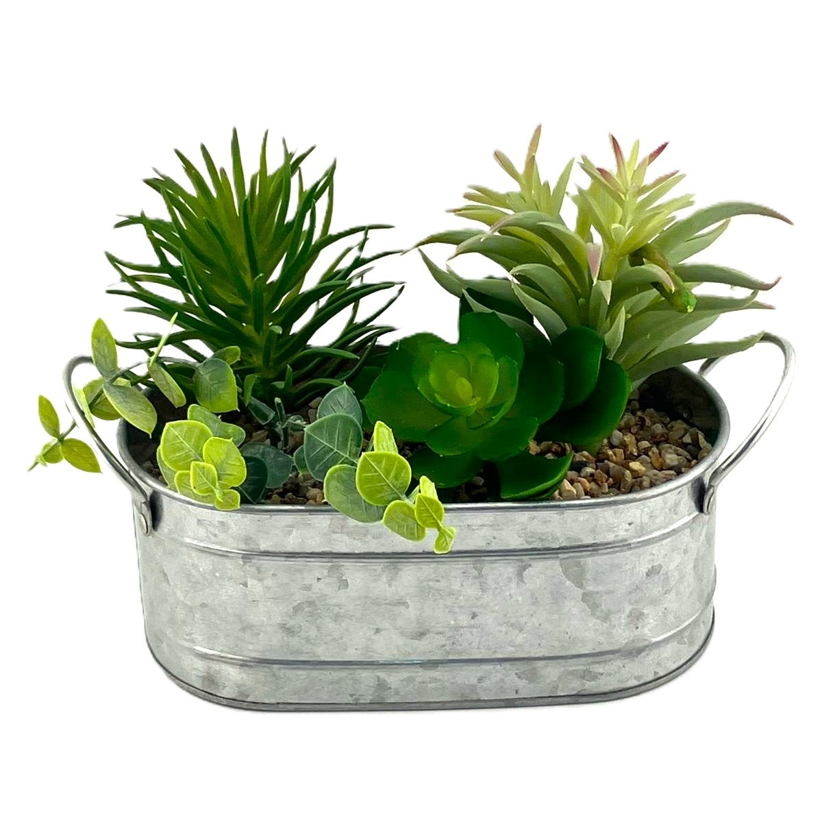 3 Succulents in a Galvanised Metal Trough