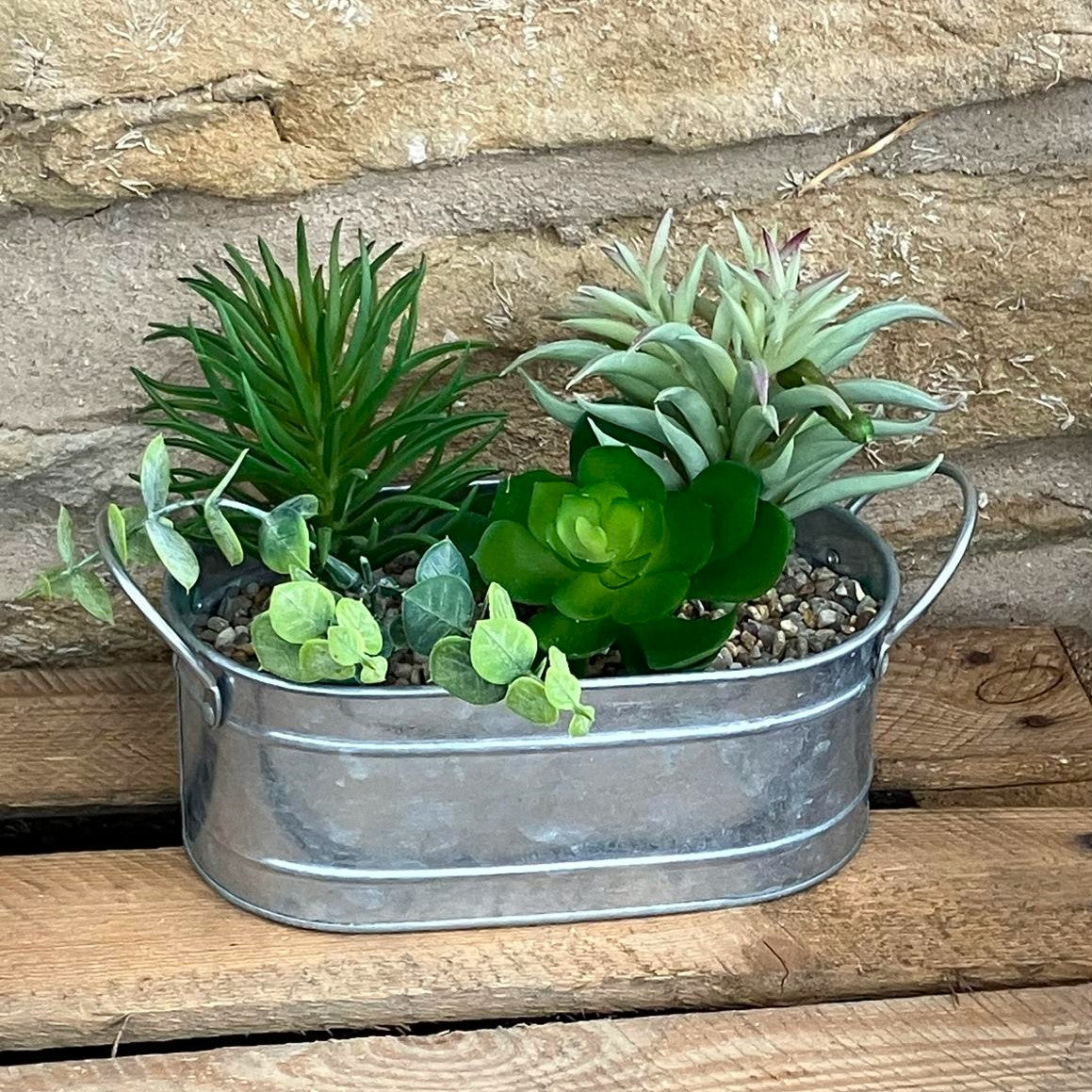 3 Succulents in a Galvanised Metal Trough