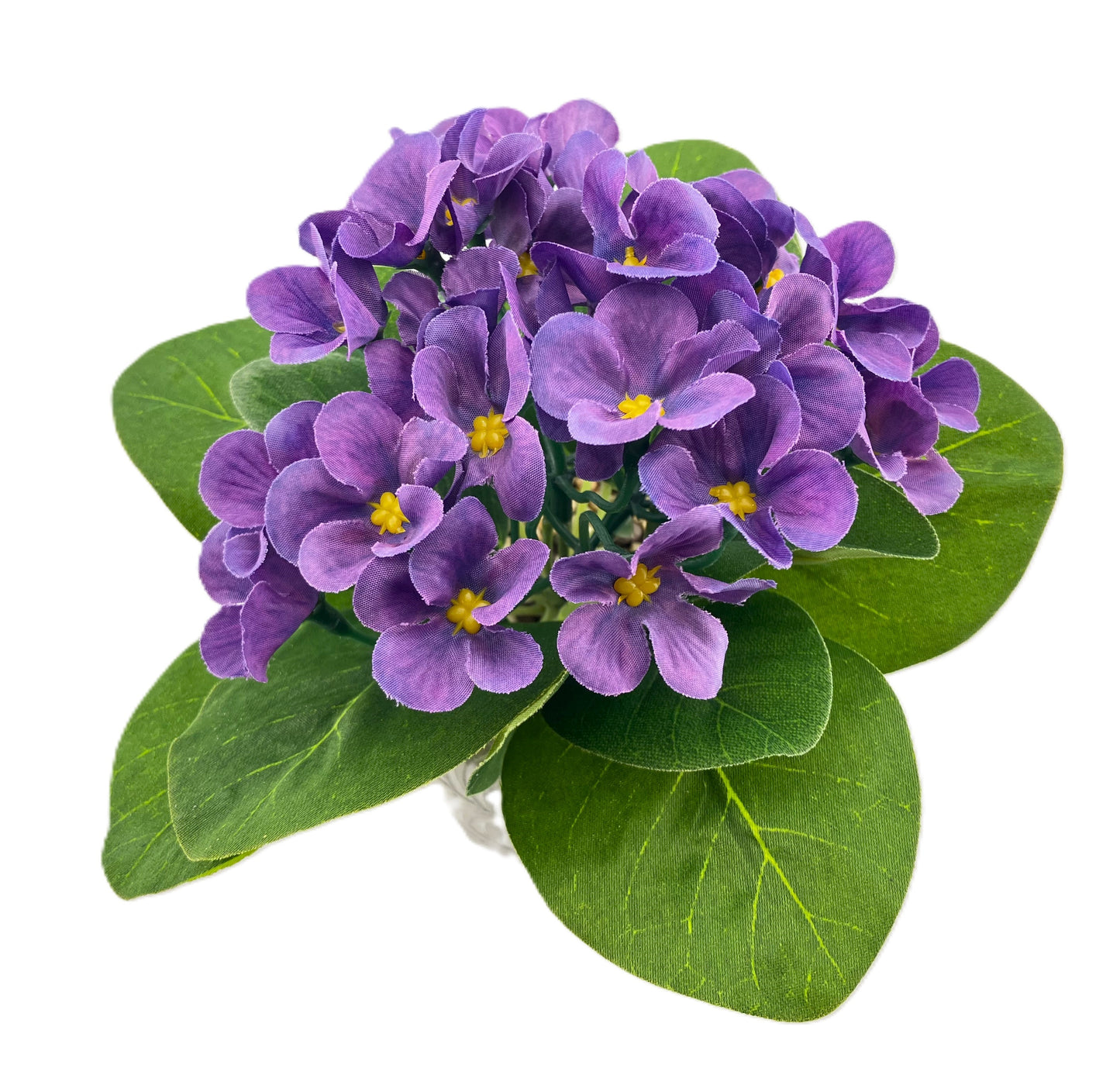 African Violet in a Fern Pot - Purple