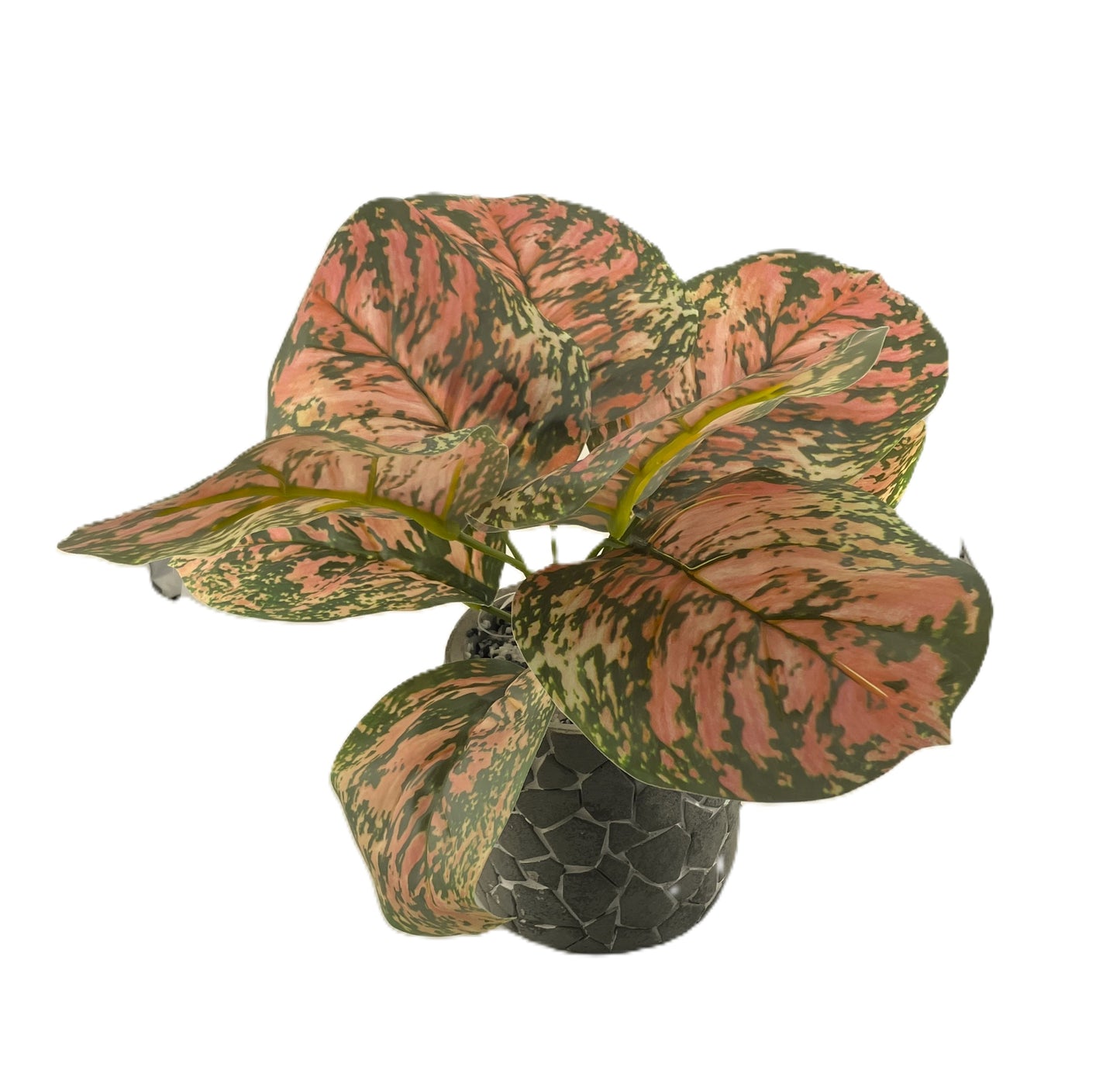 Brunnera Leaf Bunch In Burgundy