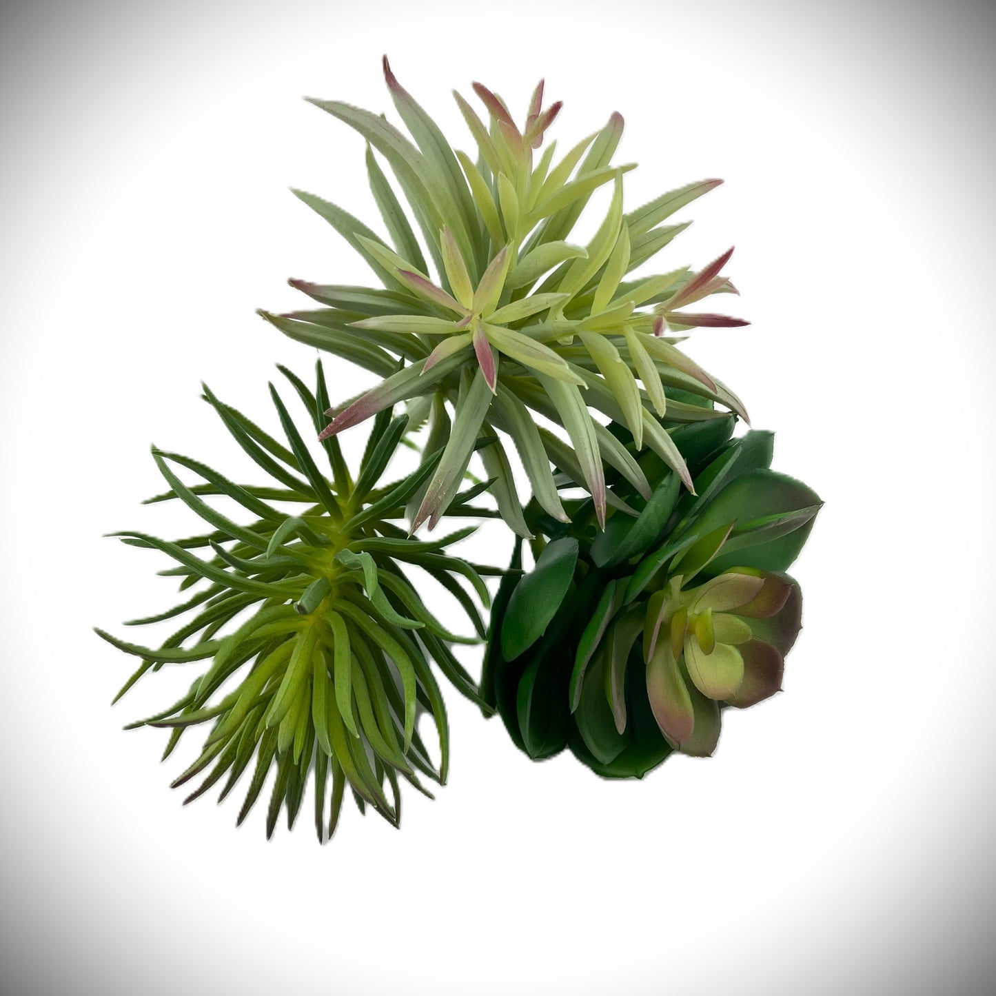 Artificial Succulent Bundle