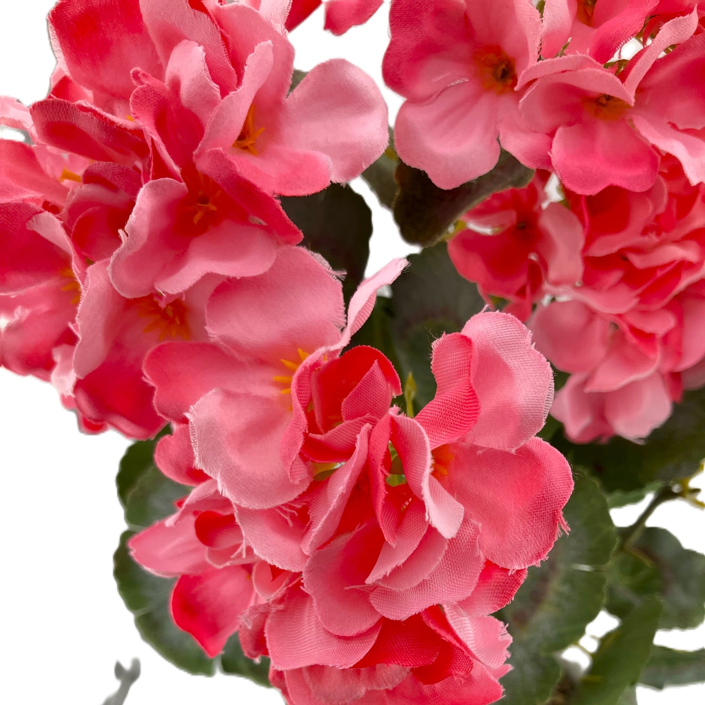 Geranium Bunch - Pink
