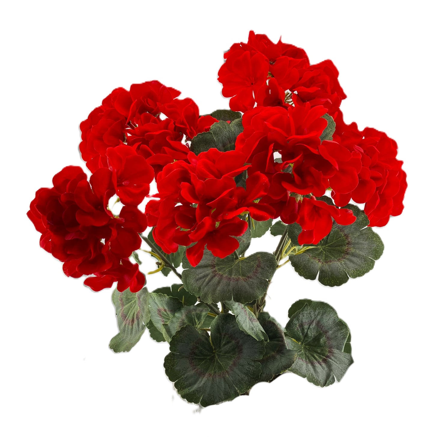 Geranium Bunch - Red
