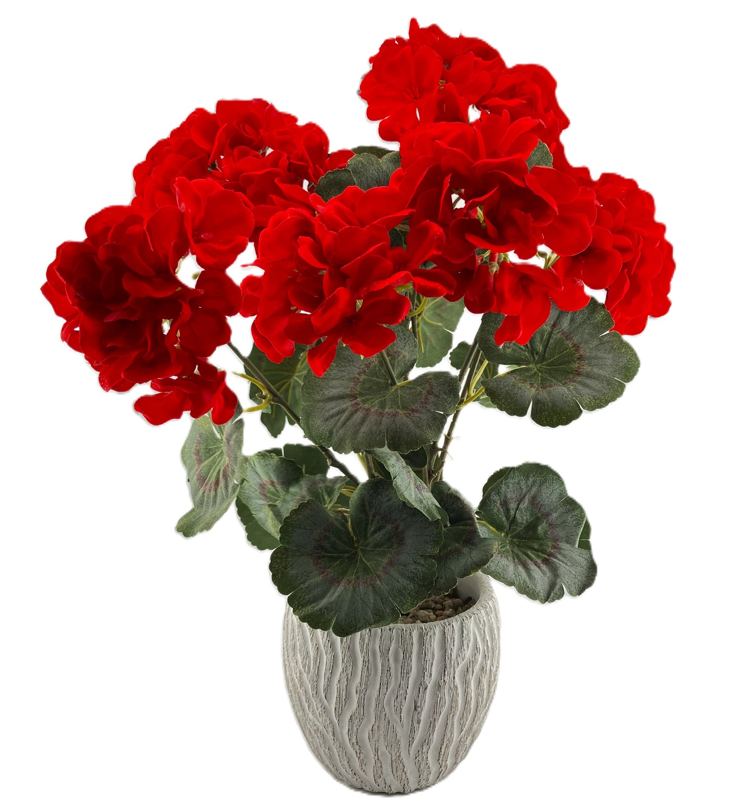 Geranium Bunch - Red