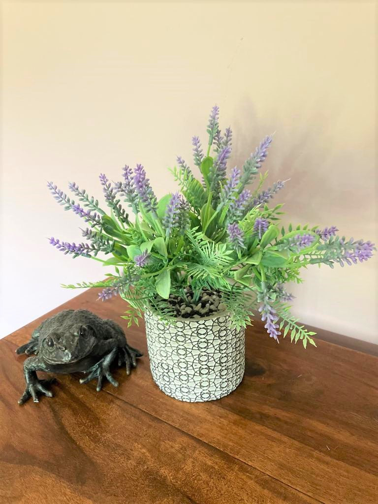 Lavender Bunch in Albany Pot