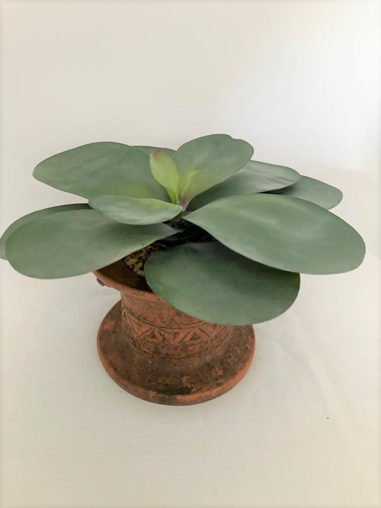 Indonesian Terracotta Circular Planter With Artificial Large Succulent