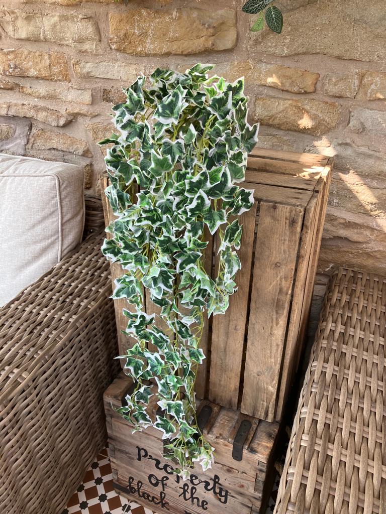Artificial Trailing Variegated Ivy - 80cm