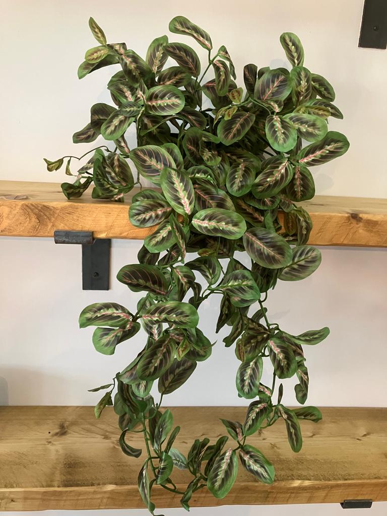 fake prayer plant Artificial Maranta – realartificial
