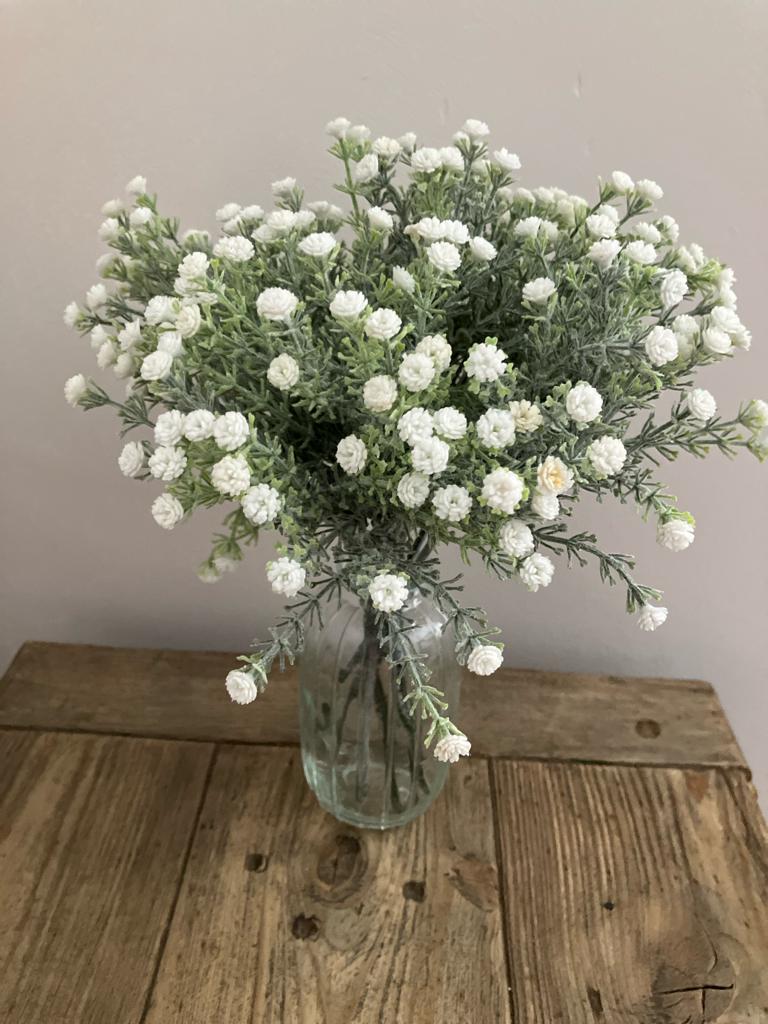 Wild Gypsophila - Ivory