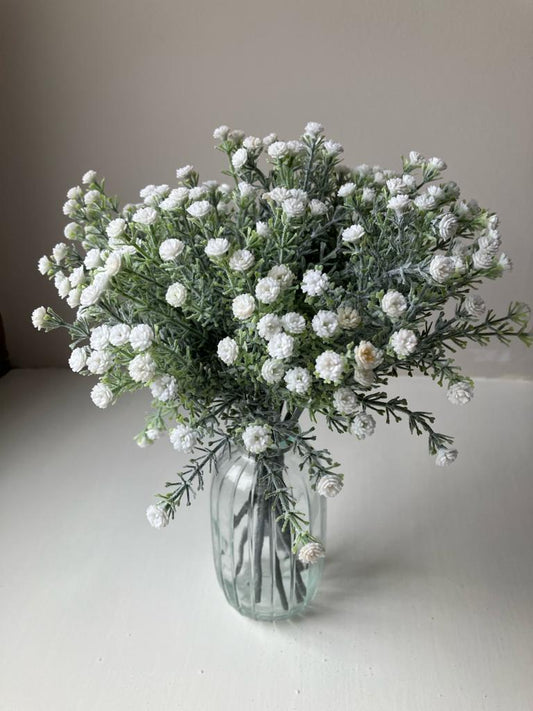 Wild Gypsophila - Ivory
