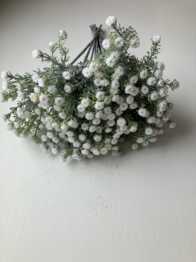 Wild Gypsophila - Ivory