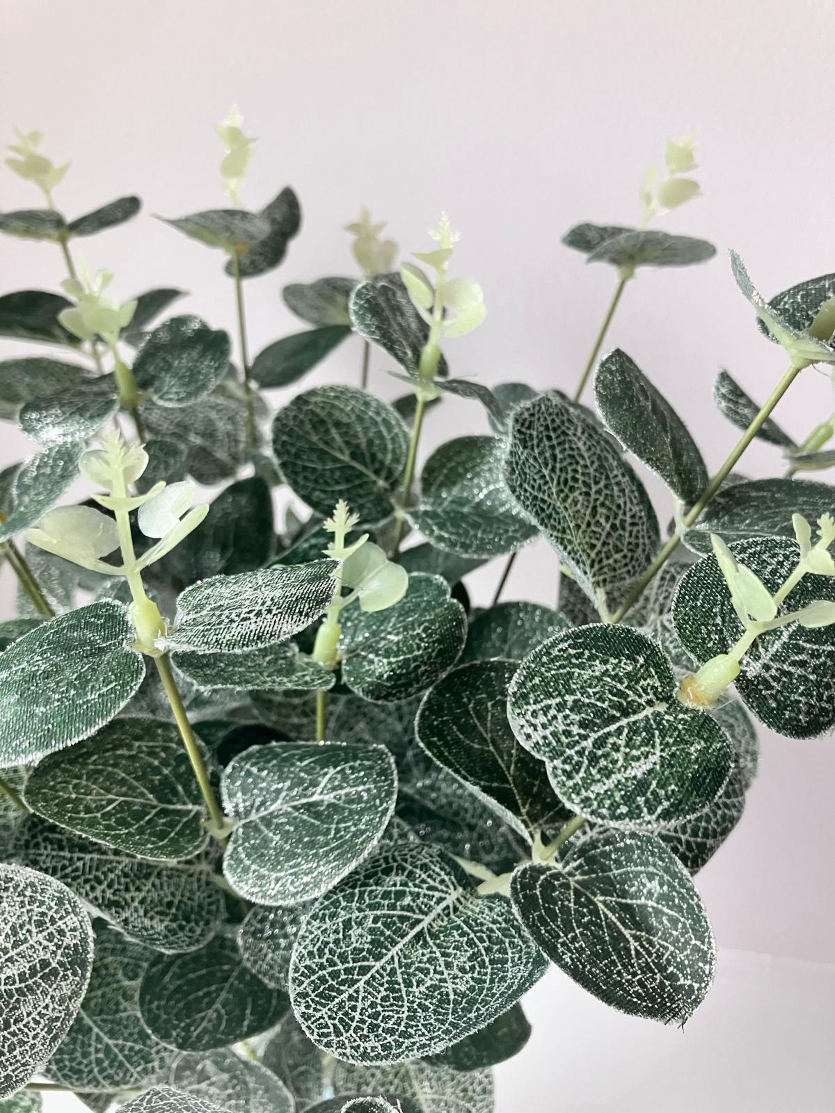 Silver Dusted Eucalyptus Bunch