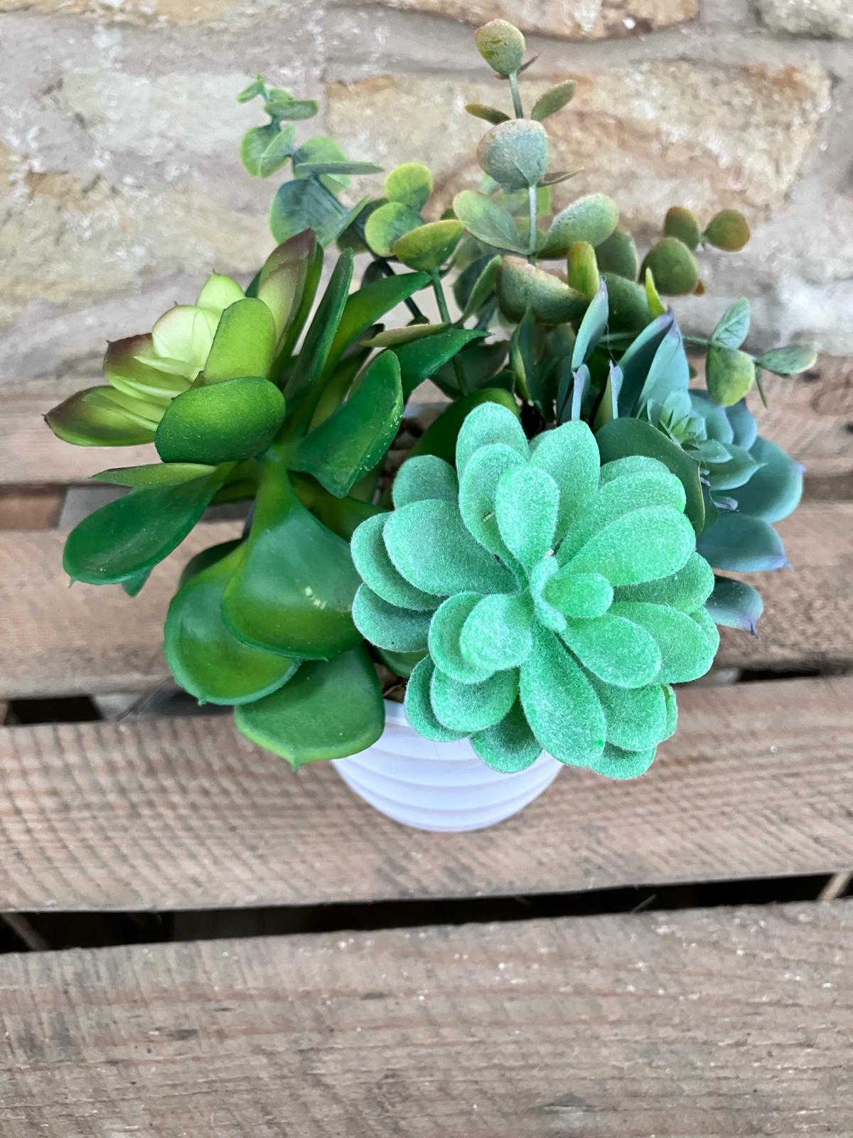 Artificial Succulent Trio in Ribbed White Pots