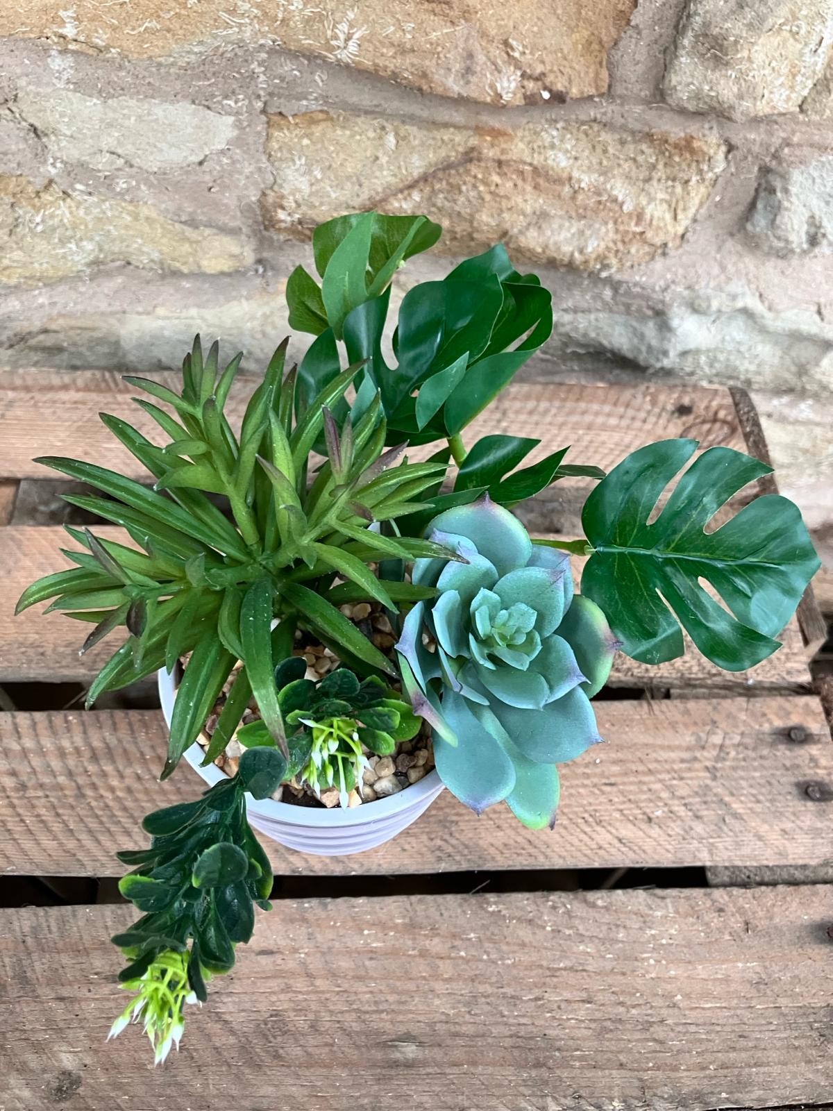 Artificial Succulent Trio in Ribbed White Pots