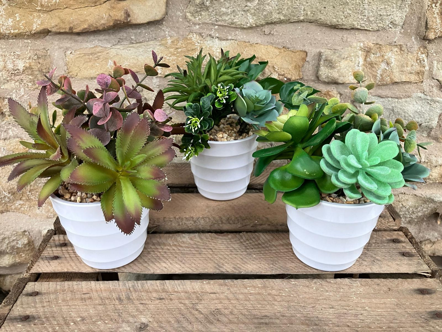Artificial Succulent Trio in Ribbed White Pots