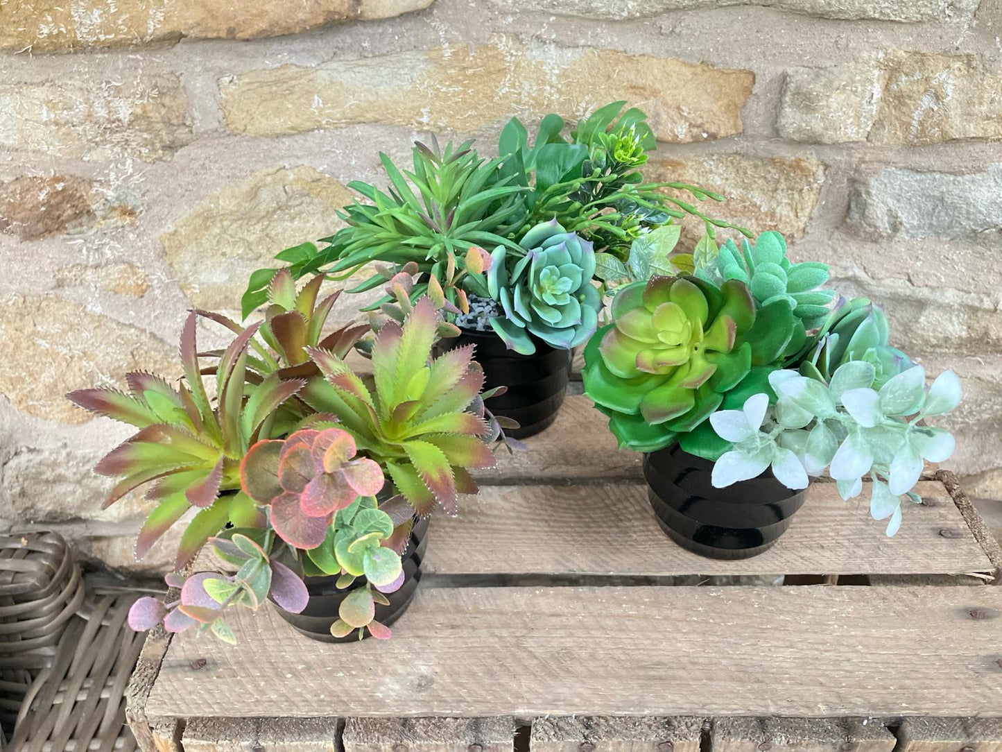 Trio Of Succulents in Black Ribbed Pot
