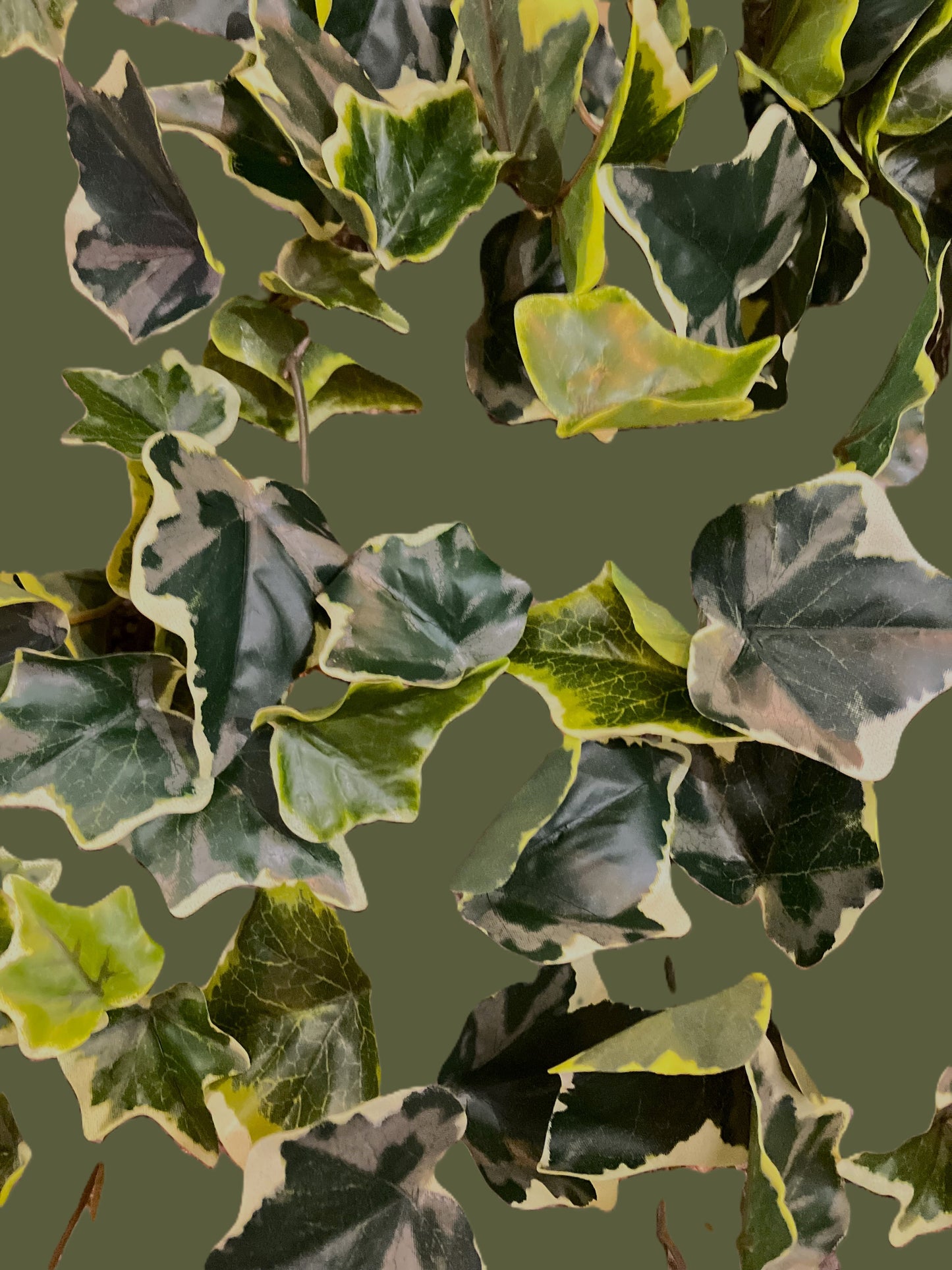 6 X Artificial Trailing Variegated Ivy - 100cm
