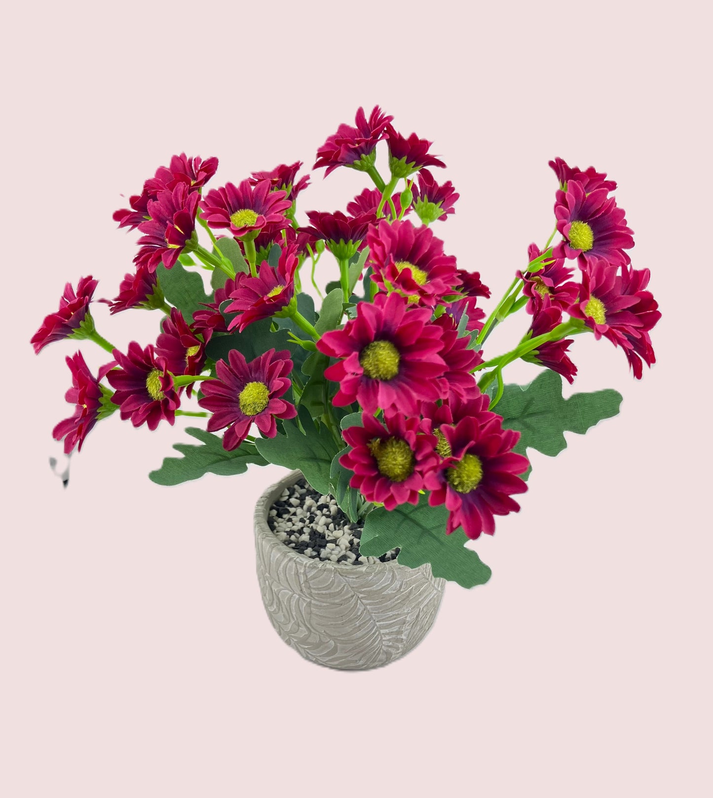 Various Coloured Silk Mia Daisy Bunch in Fern Pot