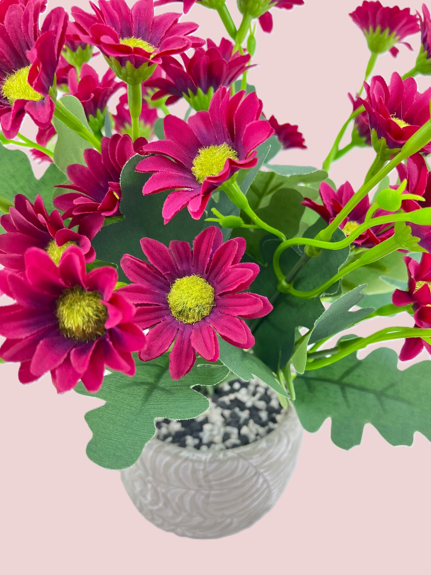 Various Coloured Silk Mia Daisy Bunch in Fern Pot
