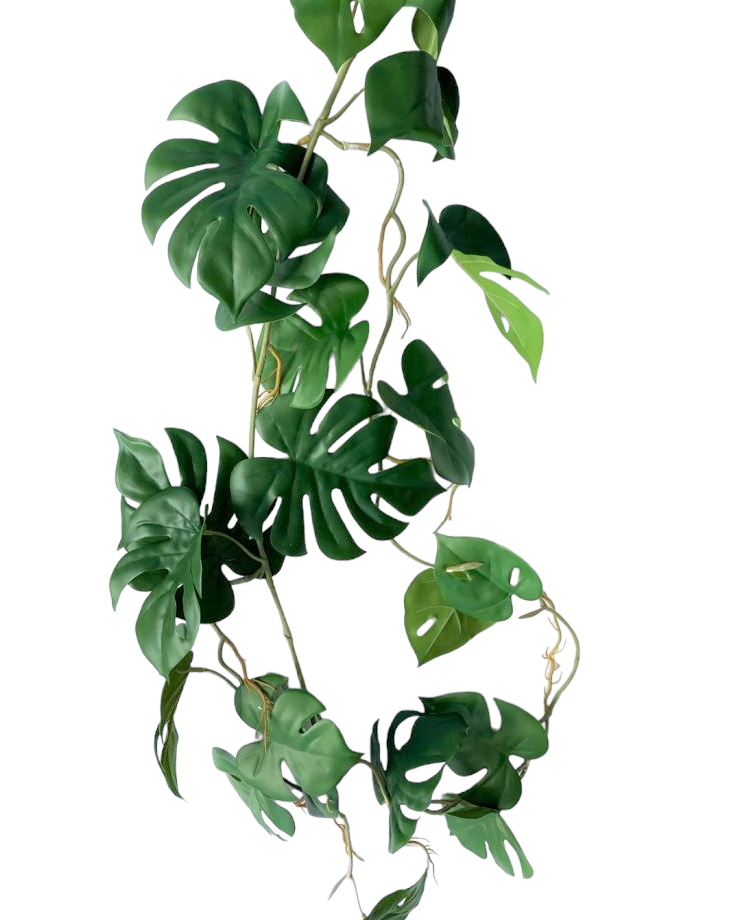 Artificial Trailing Monstera Vine - 110cm
