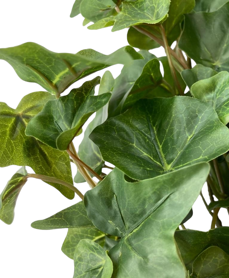 6 X Trailing Ivy - Green - 110cm