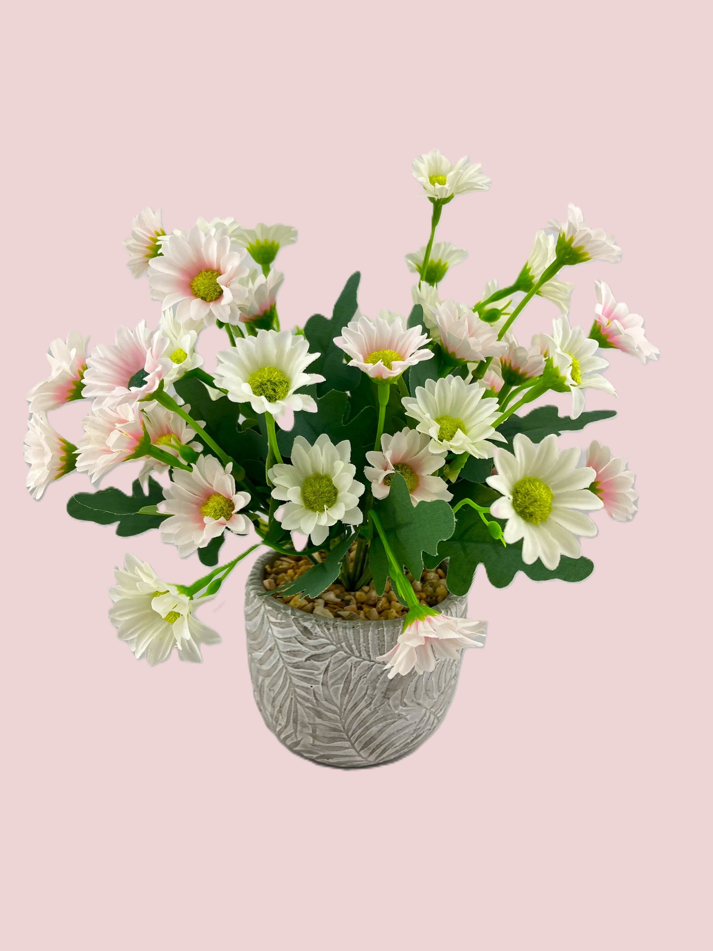 Various Coloured Silk Mia Daisy Bunch in Fern Pot