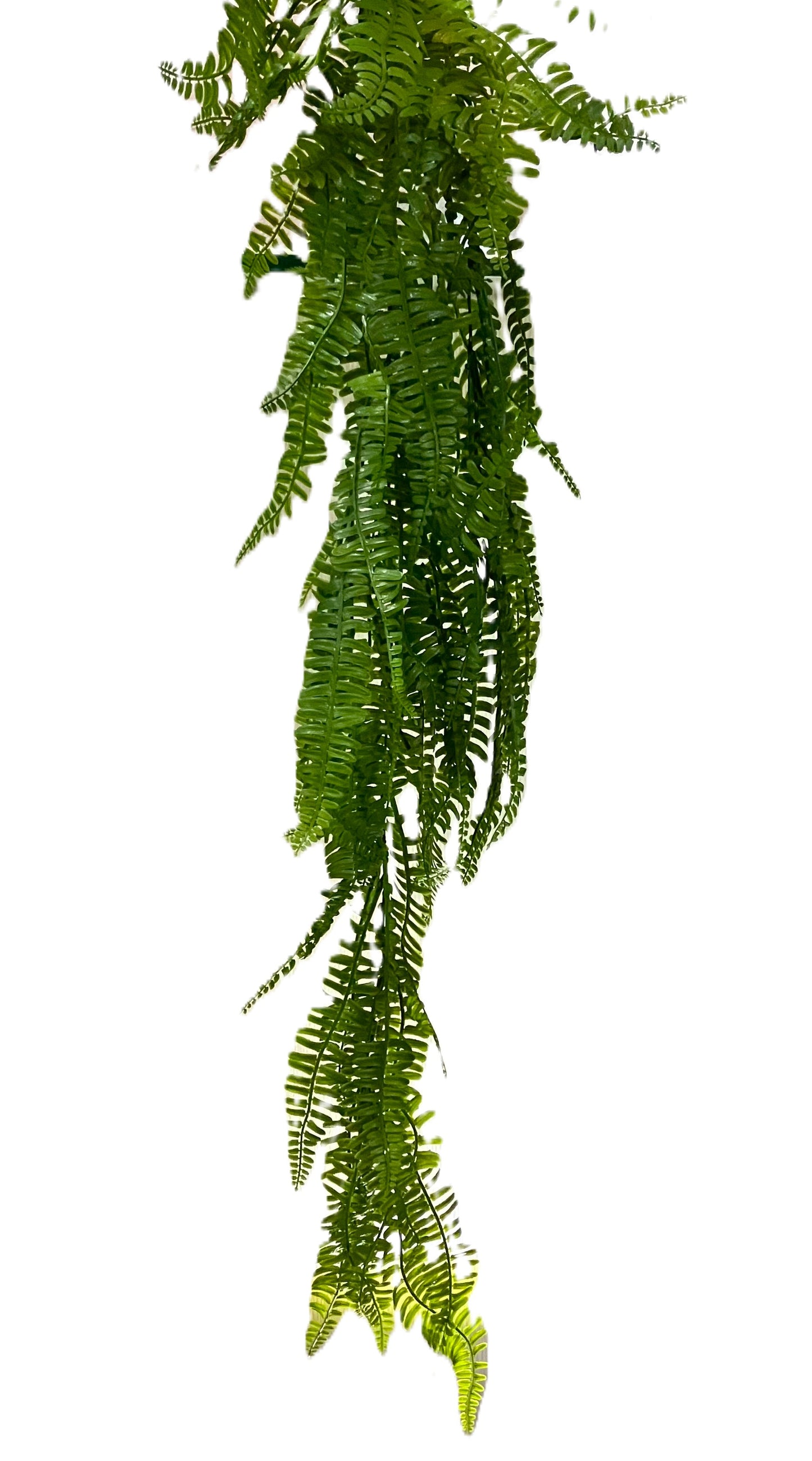 Curtain Wall - Artificial Fern - MULTIBUY - 6 PLANTS