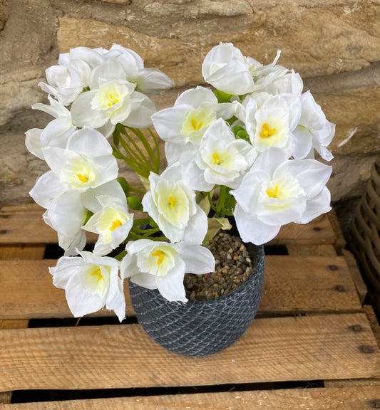 White Narcissus in Charcoal Round Bottom Mesh Clay Pot