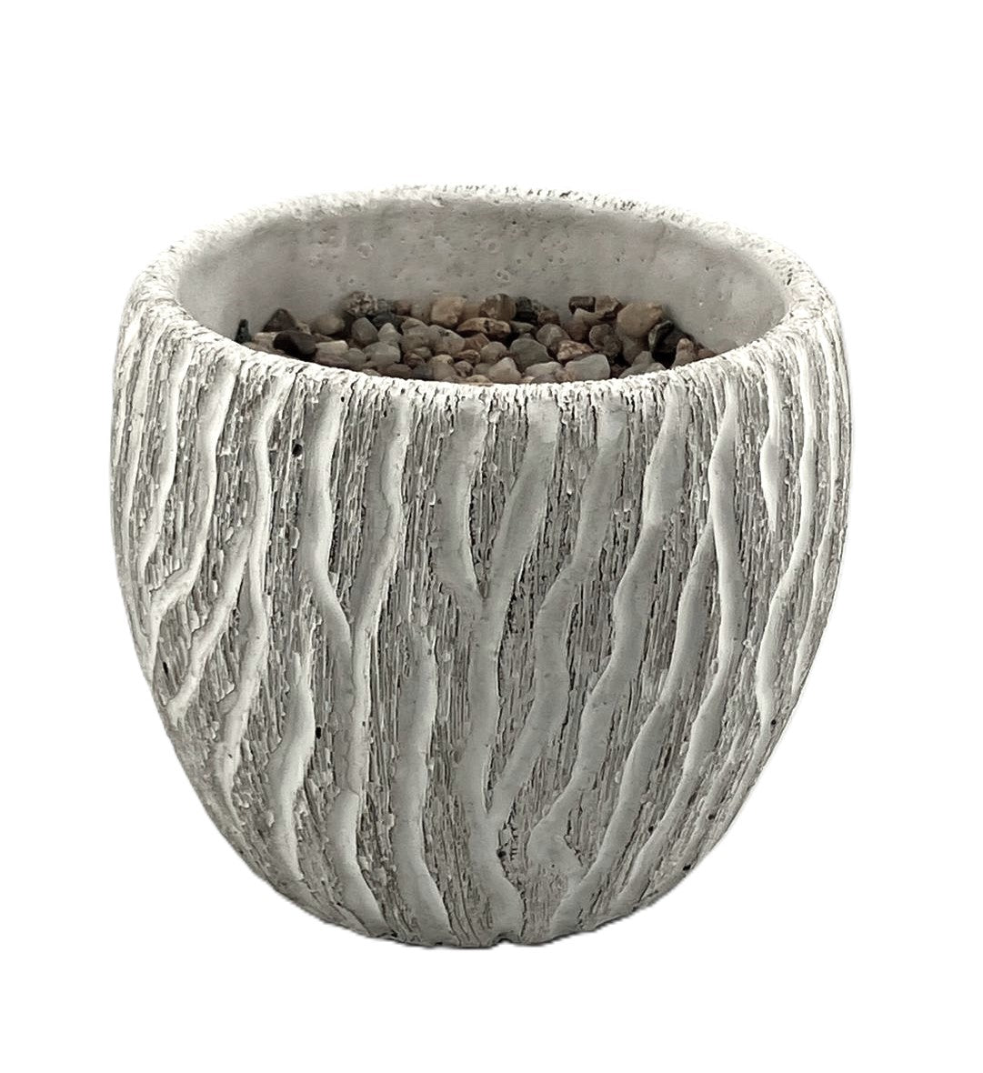 Philodendron Leaf Large Bunch With or Without Pot