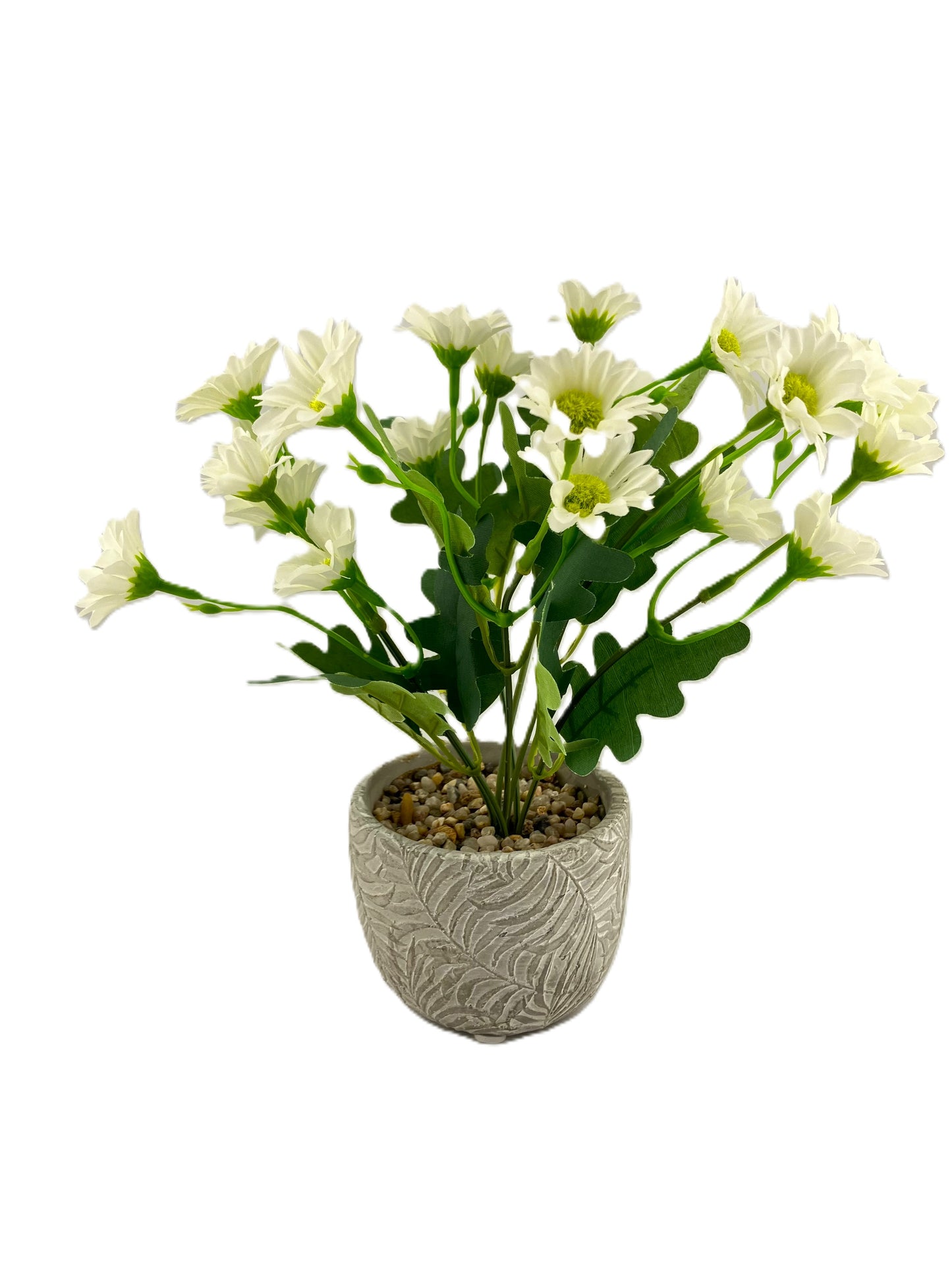 Various Coloured Silk Mia Daisy Bunch in Fern Pot