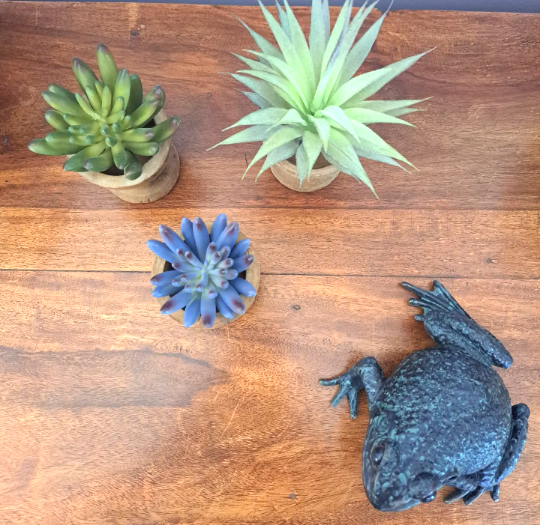 Succulent Mix X3 In Wooden Pot