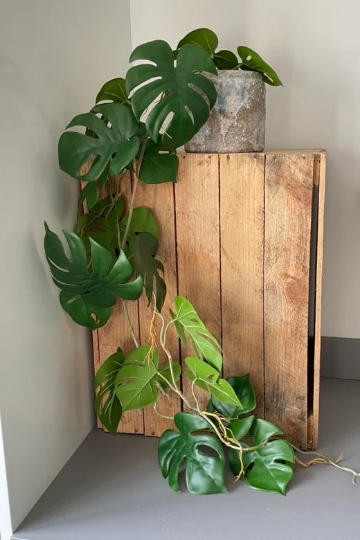 Artificial Trailing Monstera Vine - 110cm