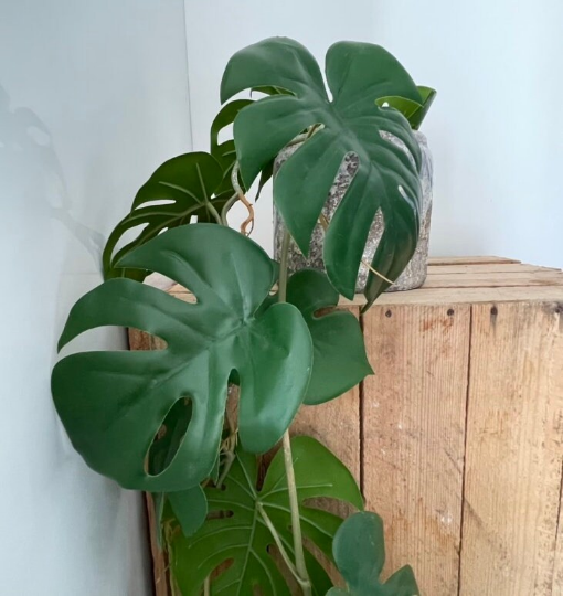 Artificial Trailing Monstera Vine - 110cm