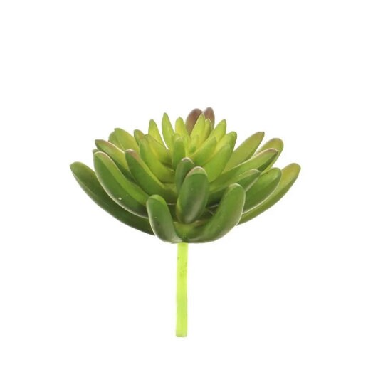 Succulent Mix X3 In Wooden Pot