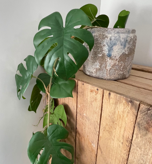 Artificial Trailing Monstera Vine - 110cm