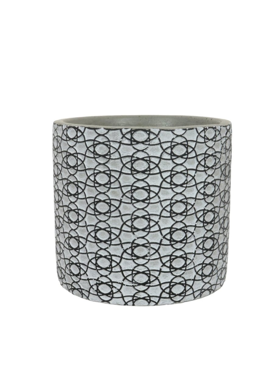 Mini Monstera Bunch (Large) with or without pot