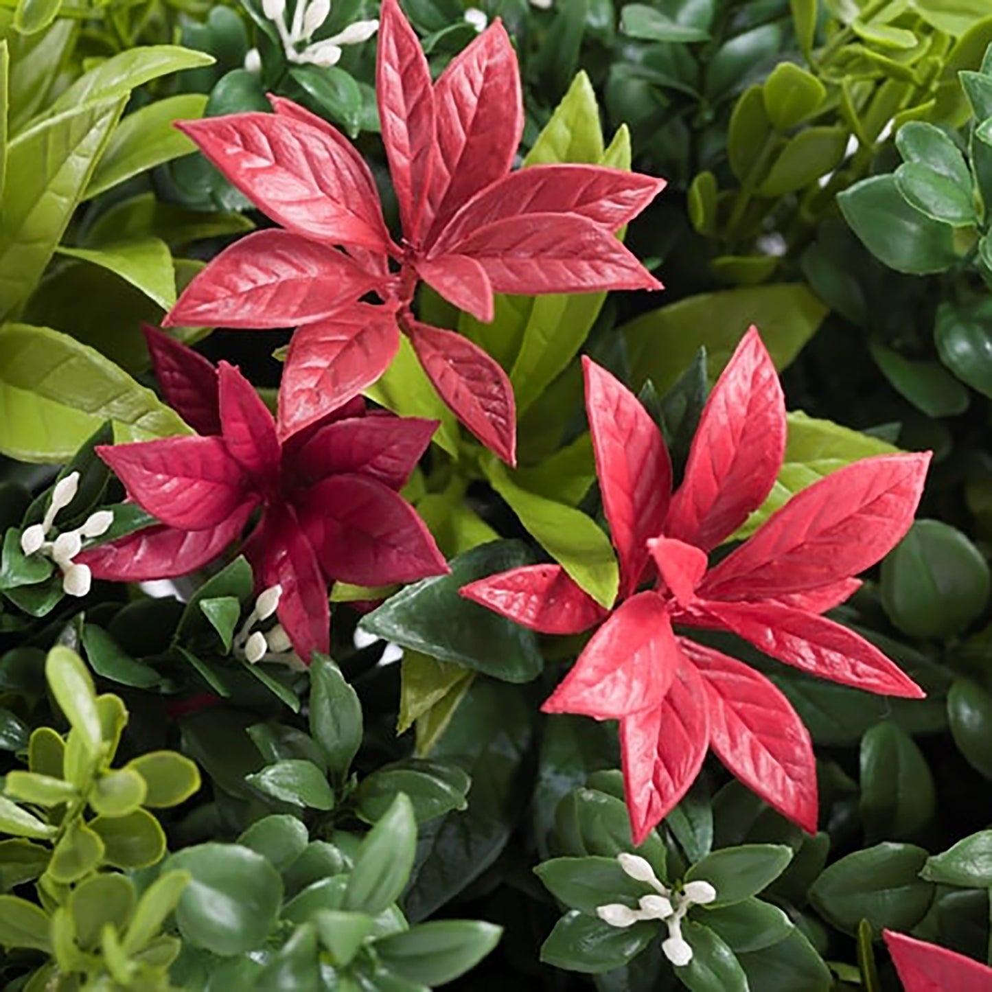 Invigorating reds blend with the green to create a stunning view. Use these lush plants where you please. they are designed to enhance or accent your wall by simply slotting them into the Vistafolia Panel where you want them.