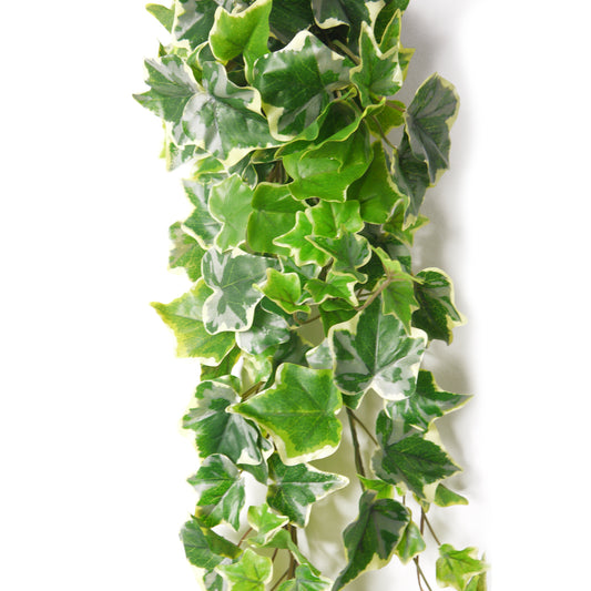 Artificial Trailing Ivy - Variegated, 85cm