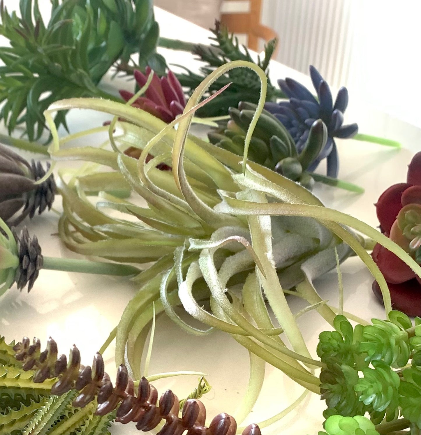 Faux Spider Succulent Head - Natural green, 25cm