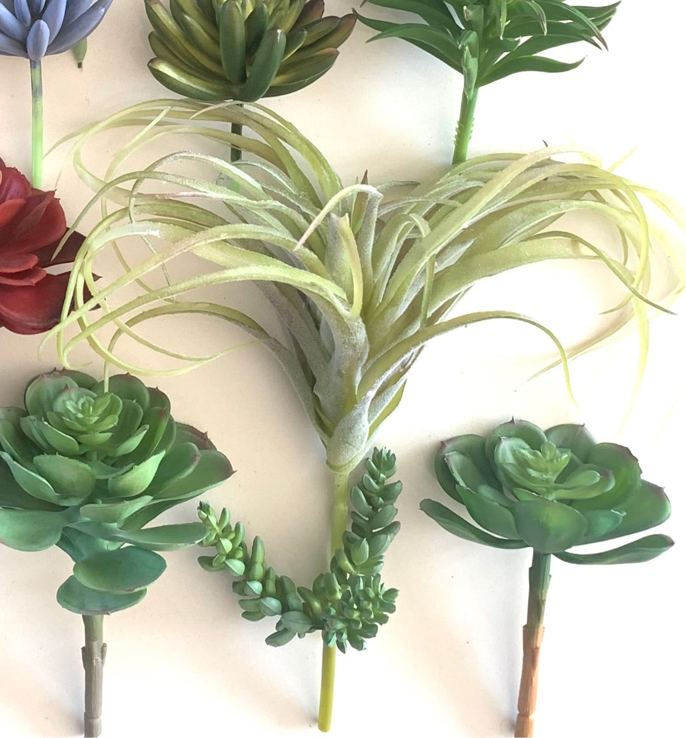 Faux Spider Succulent Head - Natural green, 25cm