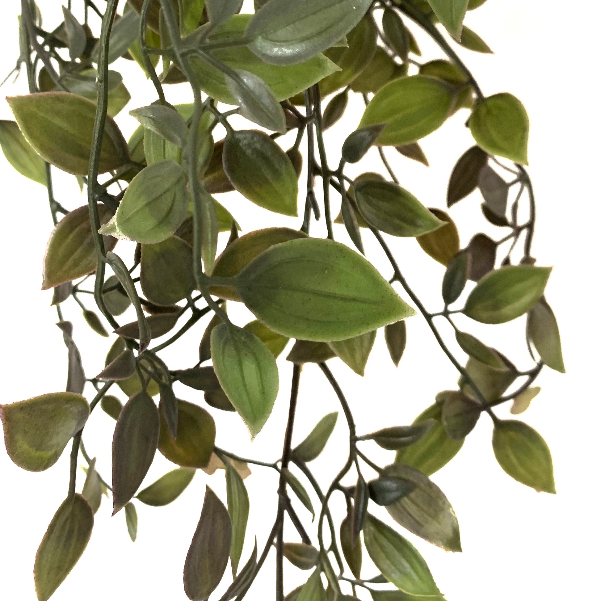 Artificial Ruscus Trailing Plant, 100cm