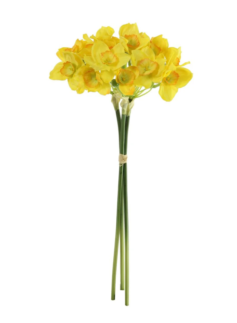 Yellow Narcissus in Charcoal Round Bottom Mesh Clay Pot