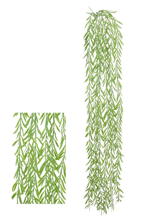 Trailing Mini Willow - 130 cm
