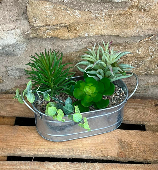 3 Succulents in a Galvanised Metal Trough