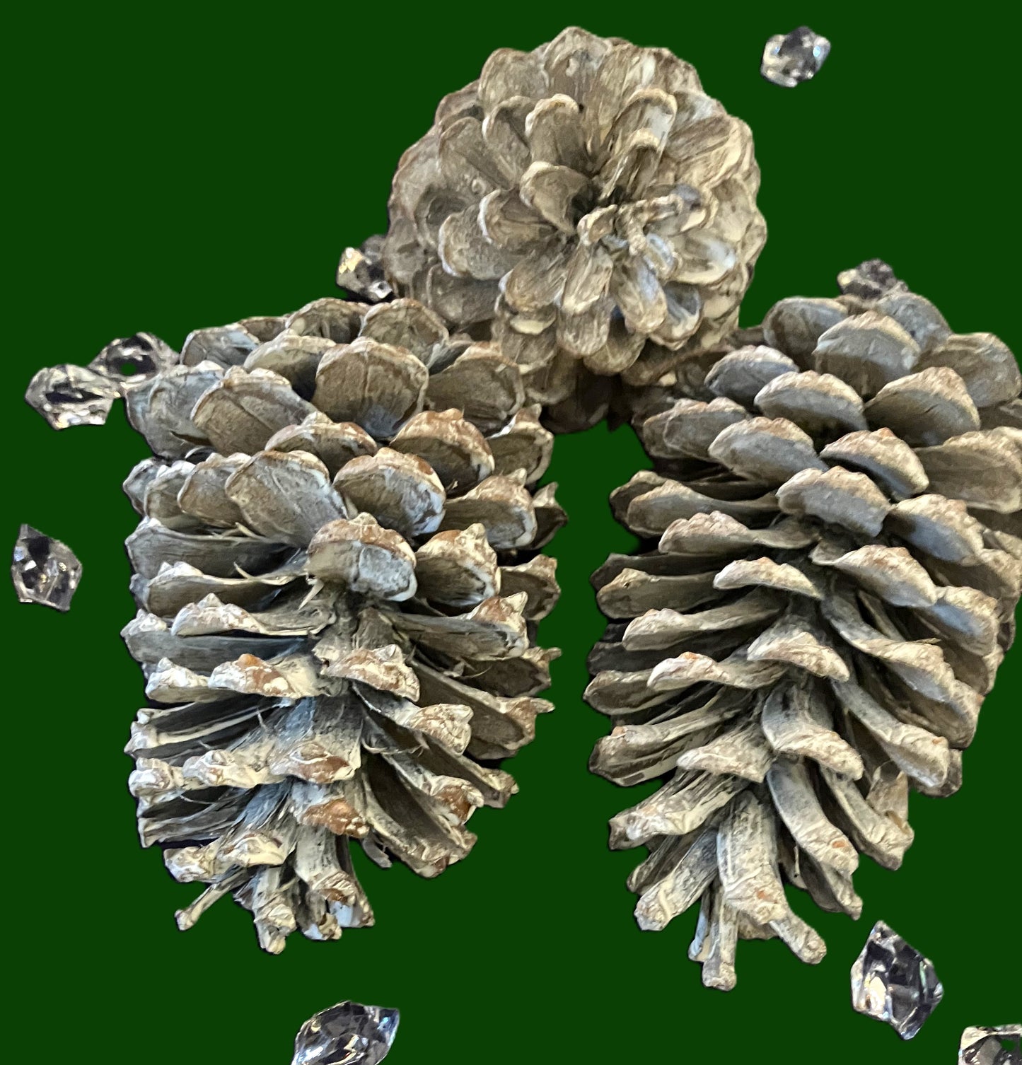3 Dried and Frosted Natural Pine Cones Average Size 12 - 14 cm